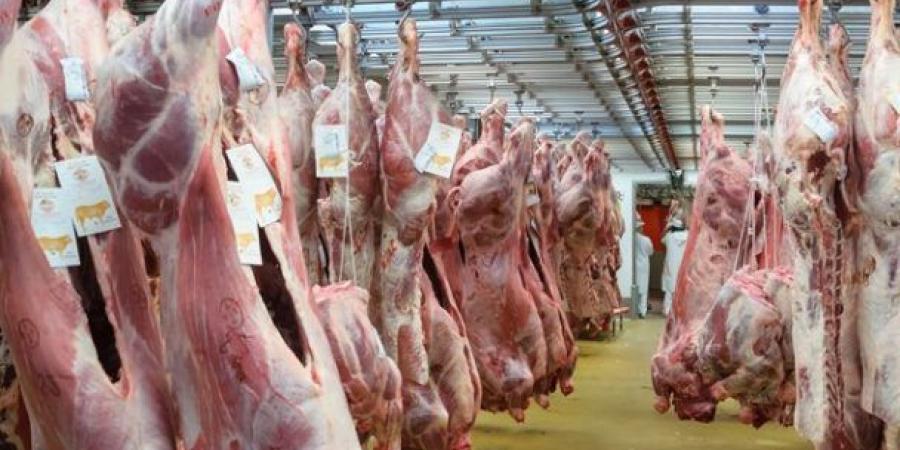 واردات إسبانية لضمان استقرار الأسعار  اللحوم الحمراء بين 70 و80 درهما 