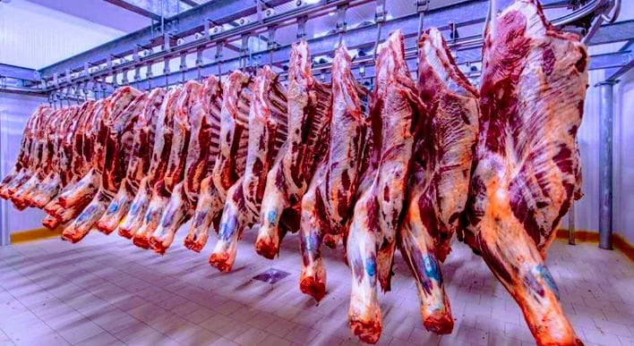 الحسيمة: توزيع 900 كيلوغرام من اللحوم على الأسر المحتاجة ببني بوعياش وتيفروين 