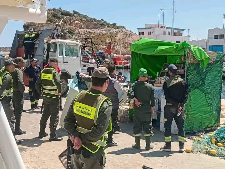 حملة واسعة لتحرير الملك العمومي وتنظيم ميناء الحسيمة 