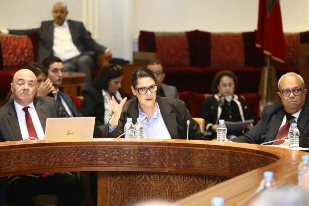 المنصوري: قانون جديد ينهي فوضى التجزئات العقارية